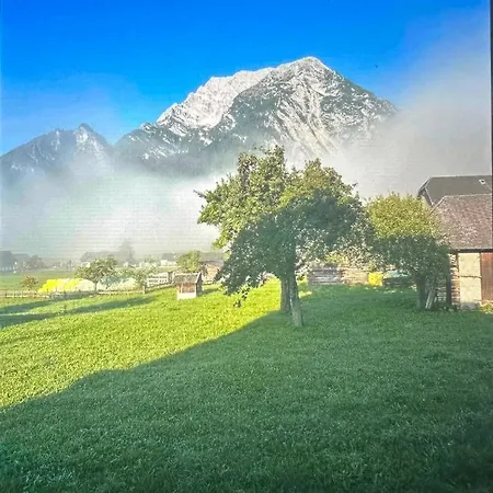 Apartment Gemuetliche Kleine Mit Garten *